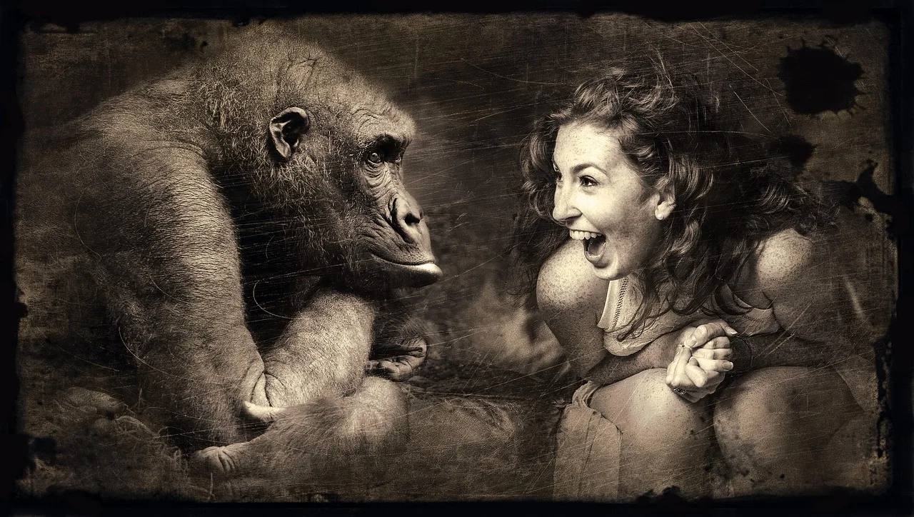 composing, affe, frau, lachen, sepia, braun, gorilla, beobachten, szene, fantasie, fantasy, blick, mystisch, lichtstimmung, fantasiebild, gesicht, märchenhaft, weiblich, hübsch, schön, freundlich, mädchen, emotion, haare, gefühl, mensch, schönheit, kopf, ausdruck, fröhlich, gute laune, lustig, freude, amüsant, glücklich, spaß, witzig, drollig, süß, geste, beziehung, humor, fotomontage, affe, affe, affe, lachen, lachen, lachen, lachen, lachen, fantasy, mensch, mensch, mensch, fröhlich, lustig, freude, freude, freude, freude, beziehung, humor, humor