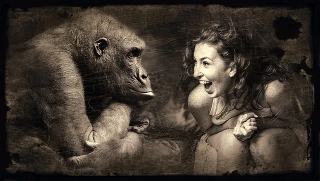 composing, affe, frau, lachen, sepia, braun, gorilla, beobachten, szene, fantasie, fantasy, blick, mystisch, lichtstimmung, fantasiebild, gesicht, märchenhaft, weiblich, hübsch, schön, freundlich, mädchen, emotion, haare, gefühl, mensch, schönheit, kopf, ausdruck, fröhlich, gute laune, lustig, freude, amüsant, glücklich, spaß, witzig, drollig, süß, geste, beziehung, humor, fotomontage, affe, affe, affe, lachen, lachen, lachen, lachen, lachen, fantasy, mensch, mensch, mensch, fröhlich, lustig, freude, freude, freude, freude, beziehung, humor, humor. Verbraucherpreisindex verstehen: Aufbau, Basisjahr und Aussagekraft für das Preismonitoring
